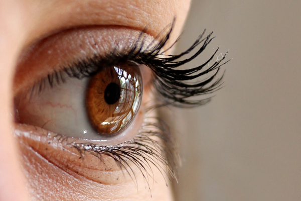 Why An Eyebrow Fixer Will Be Your Best Ally To Define Your Look And Fix Your Eyebrows?