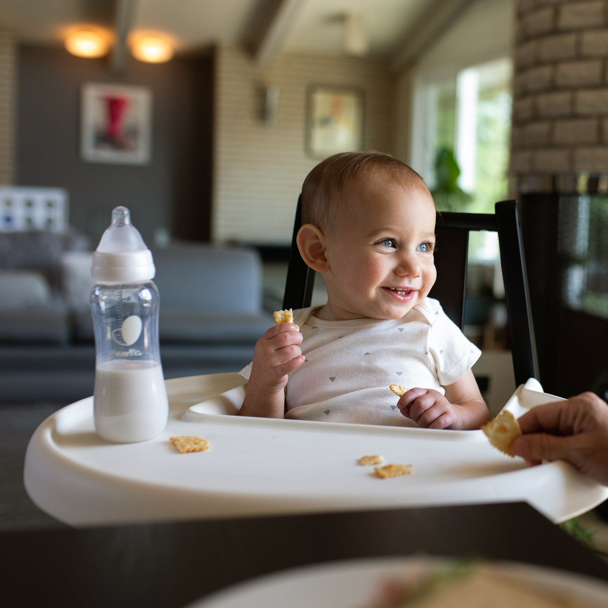 Baby Bottle Evenflo Feeding Balance + Standard Neck 9 oz. Food Grade Material Clear - image 5