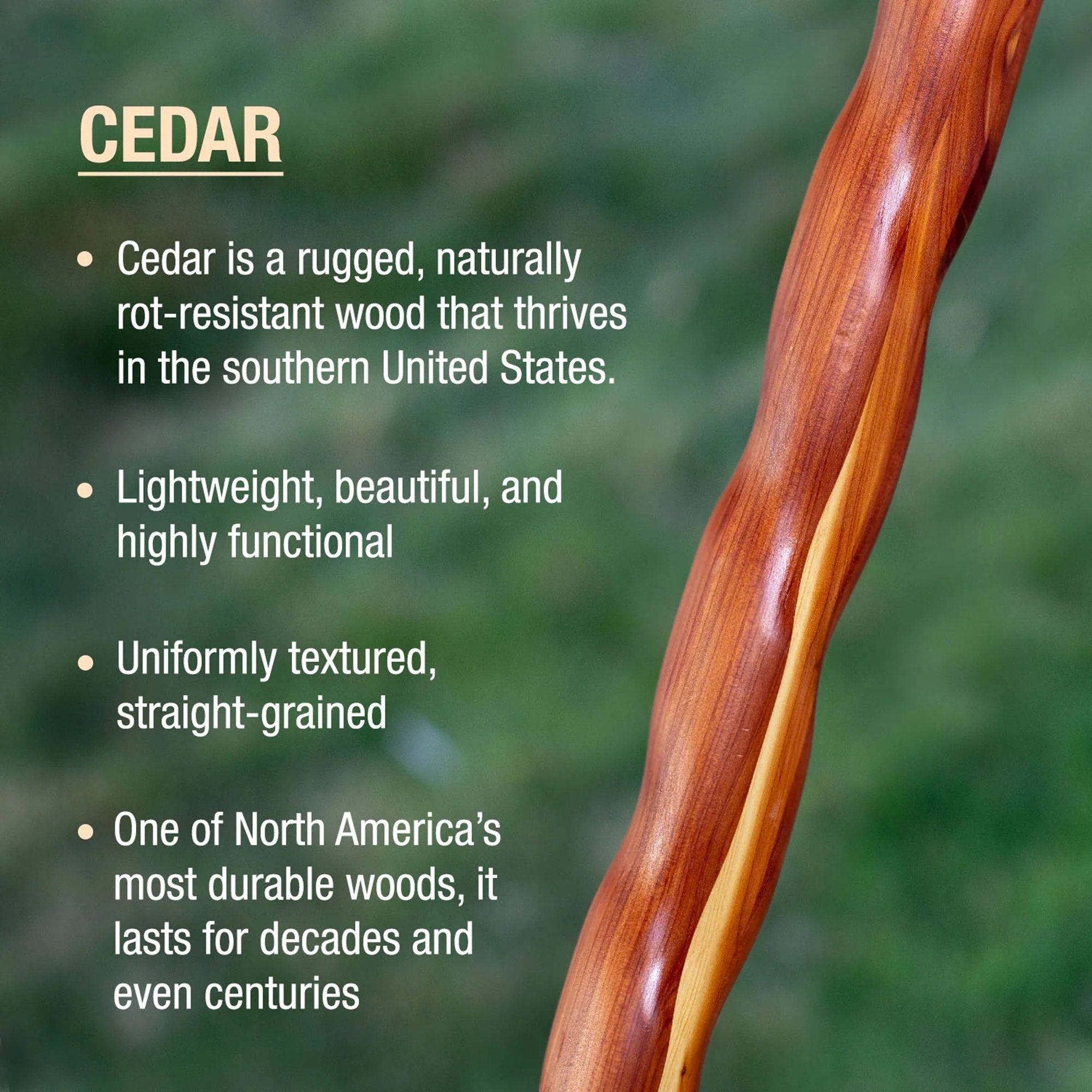 Brazos™ Twisted Cedar Backpacker Handcrafted Walking Stick, 58-Inch (1 Unit)