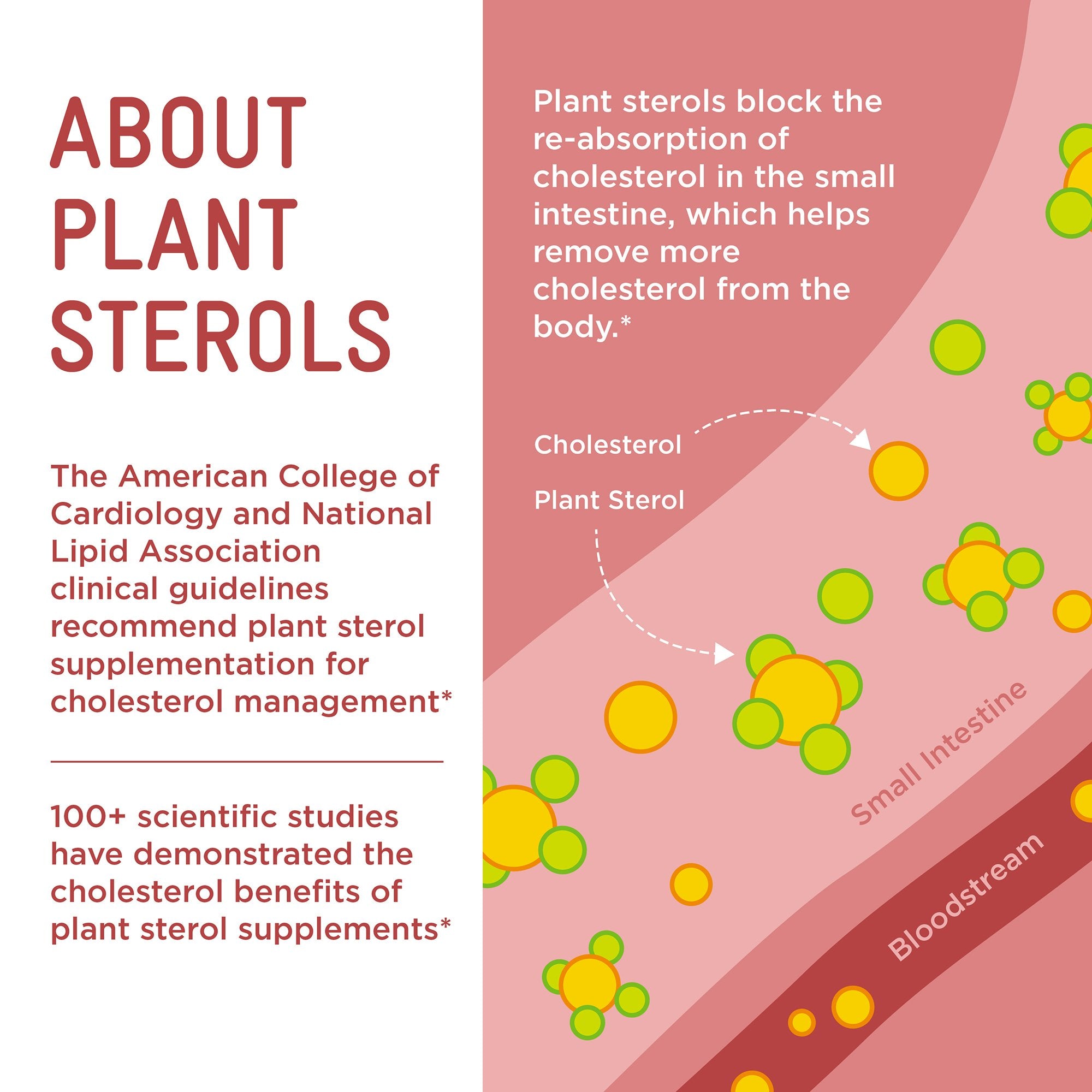 Dietary Supplement PIPER LDL® Healthy Cholesterol Plant Sterols 1.14 g Strength Gummy 2 Per Pack Fruit Flavor - image 6