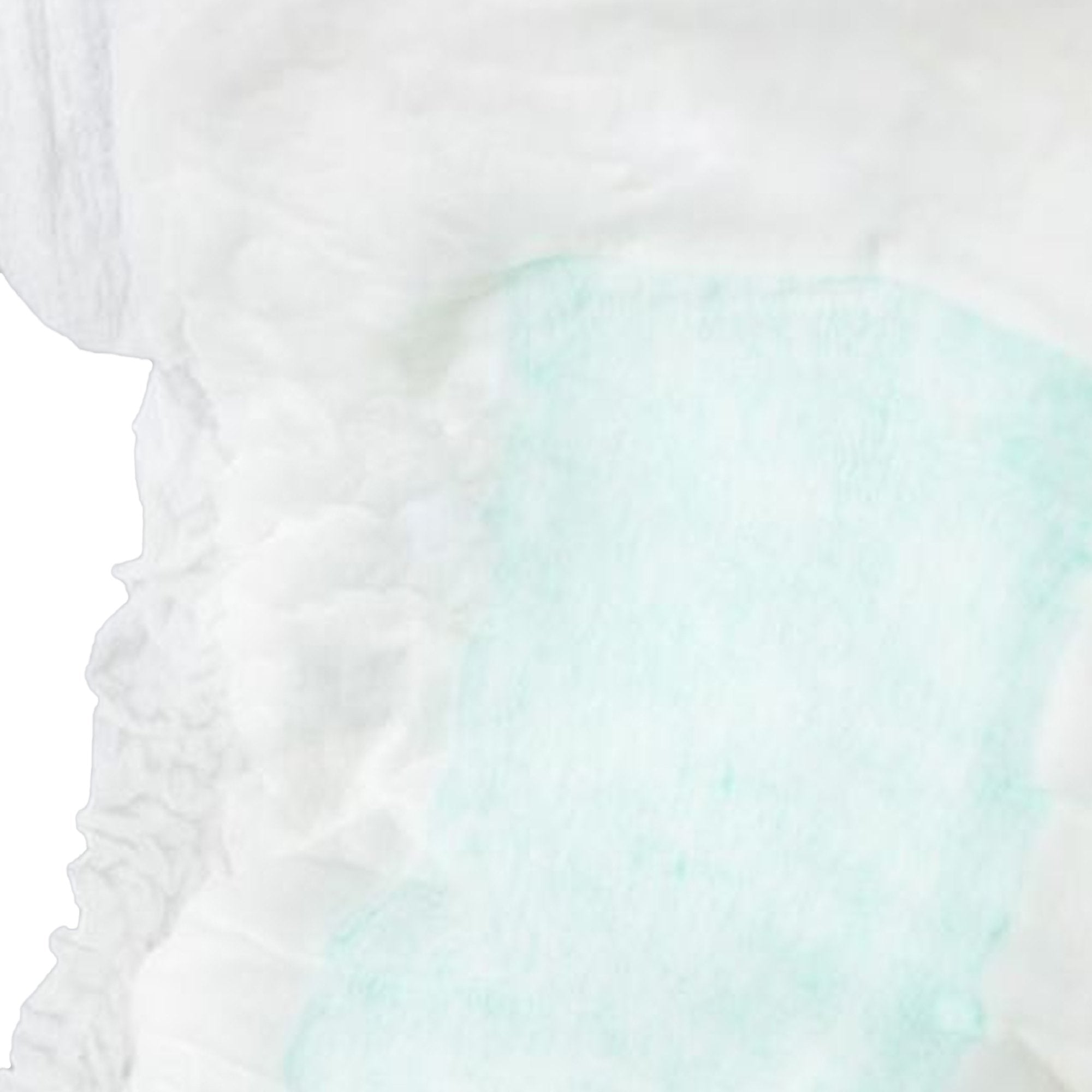 TotalDry Maximum Pads, Moderate Absorbency (20 Units)