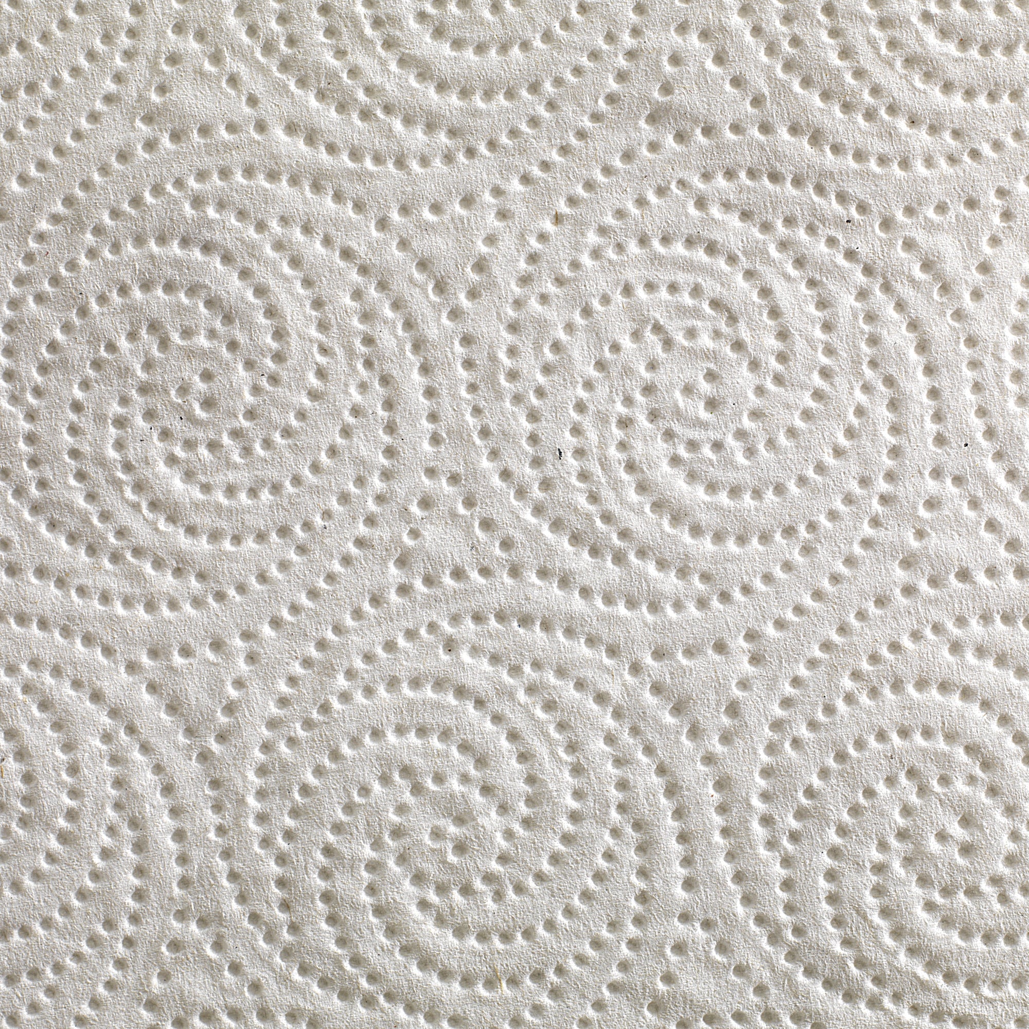 Pacific Blue Select™ Perforated Paper Towel Roll (30 Units)