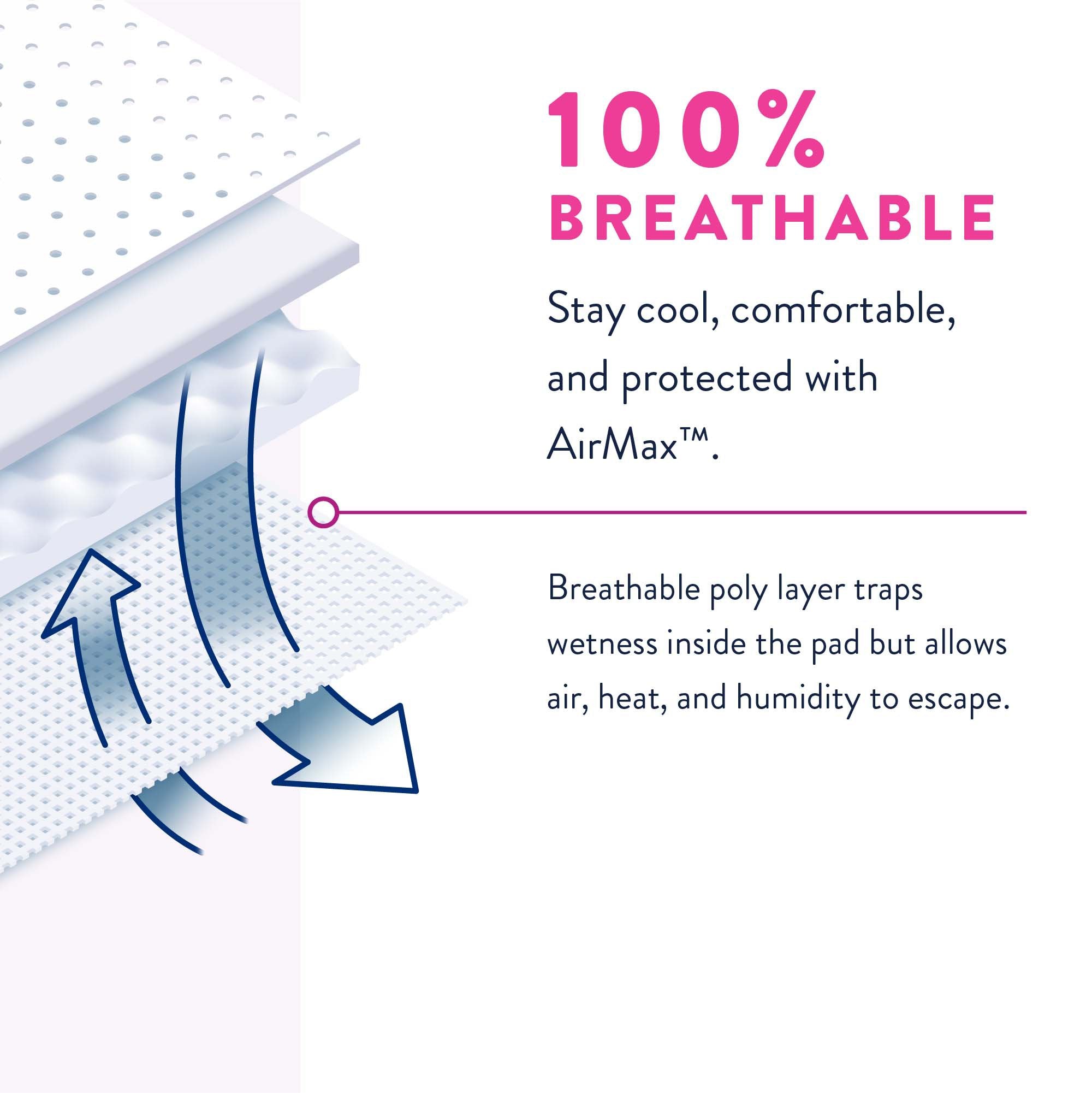 Prevail® 2XL Women's Daily Absorbent Underwear - Comfort & Protection