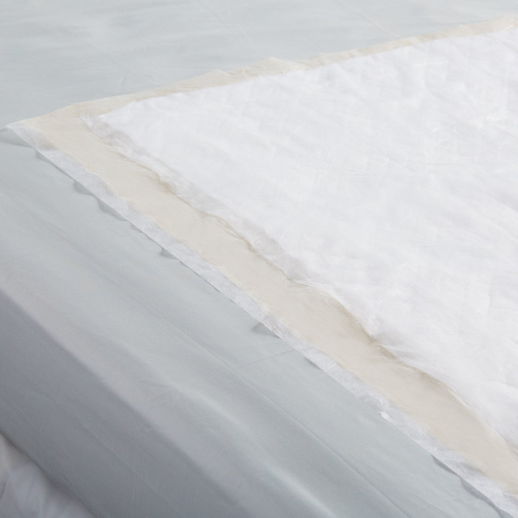 Select® Standard Underpad, 36 x 36 Inch (10 Units)