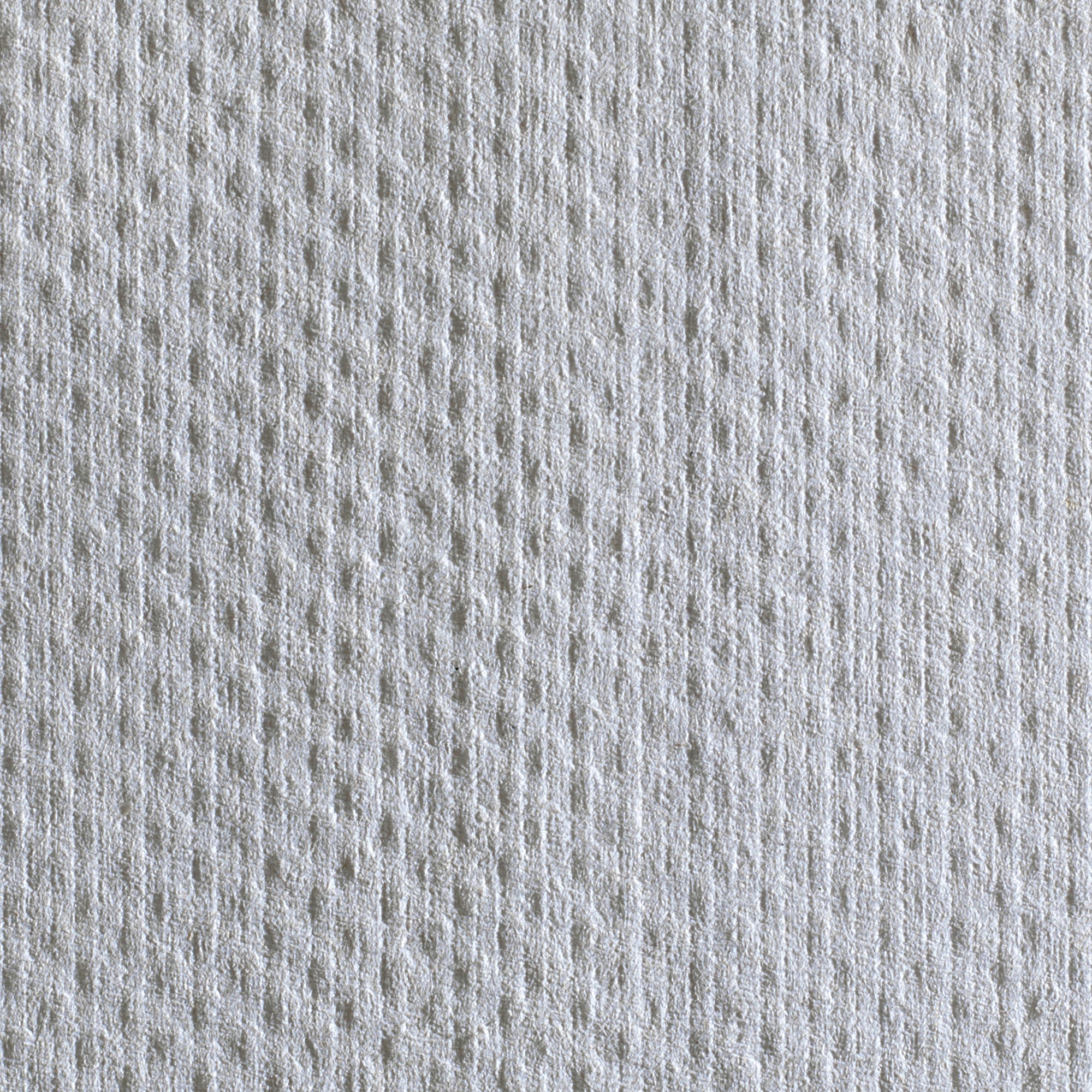 Pacific Blue Basic™ Paper Towel, 240 per Pack (10 Units)