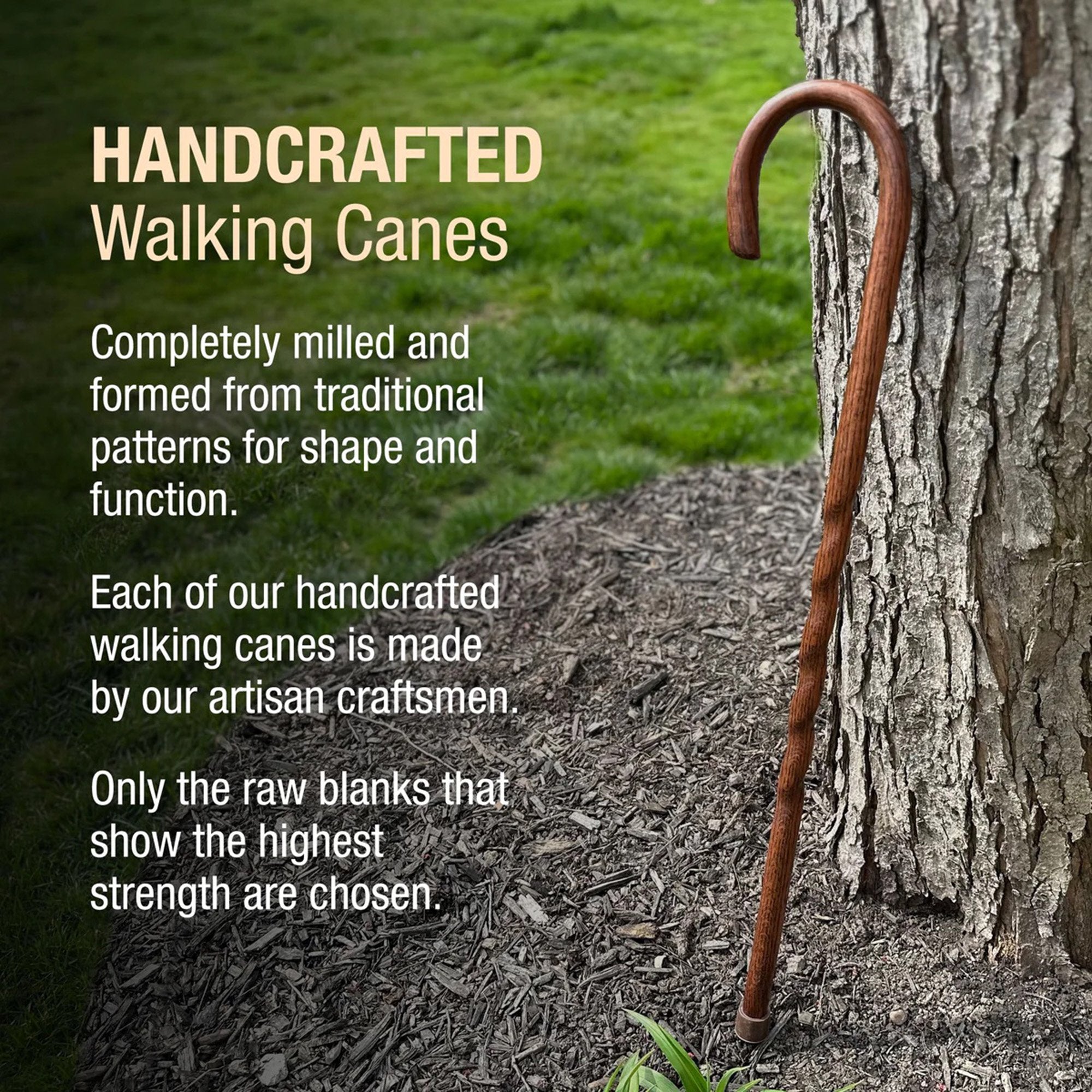 Round Handle Cane Brazos™ Twisted Wood 37 Inch Height Red Oak - image 6