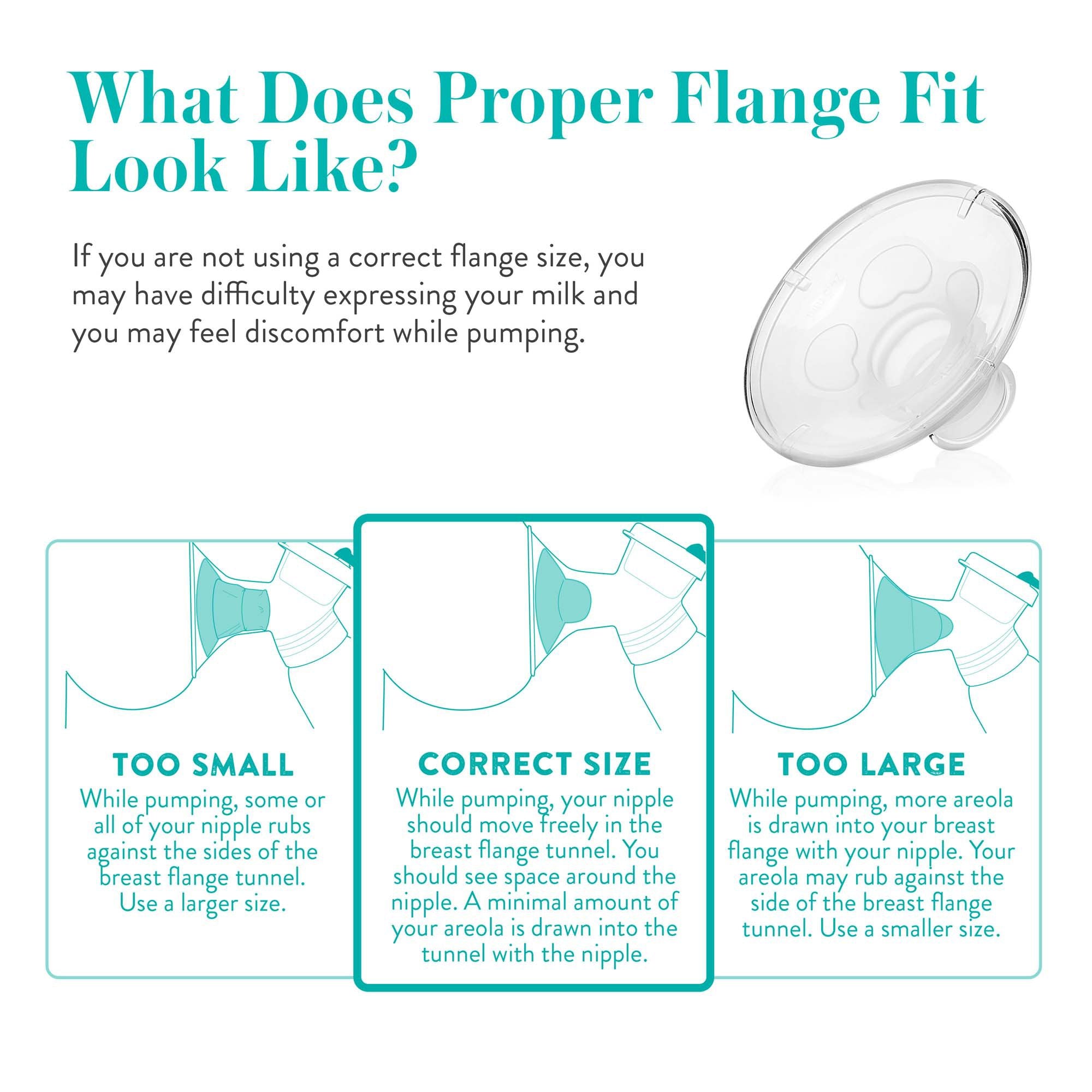 Double Electric Breast Pump Evenflo Advanced - image 10