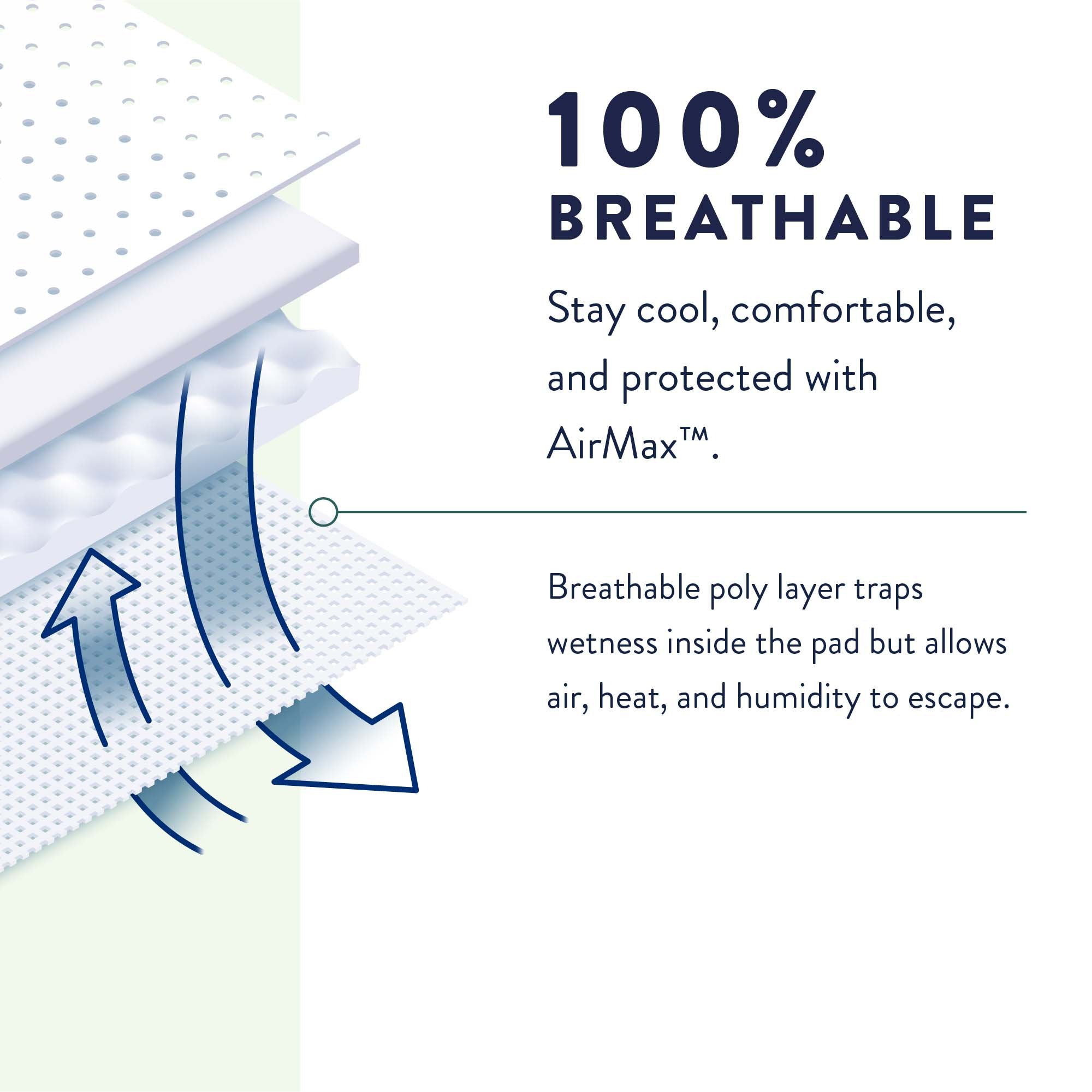 Prevail® Max Absorbency Underwear, Large - Comfort & Protection