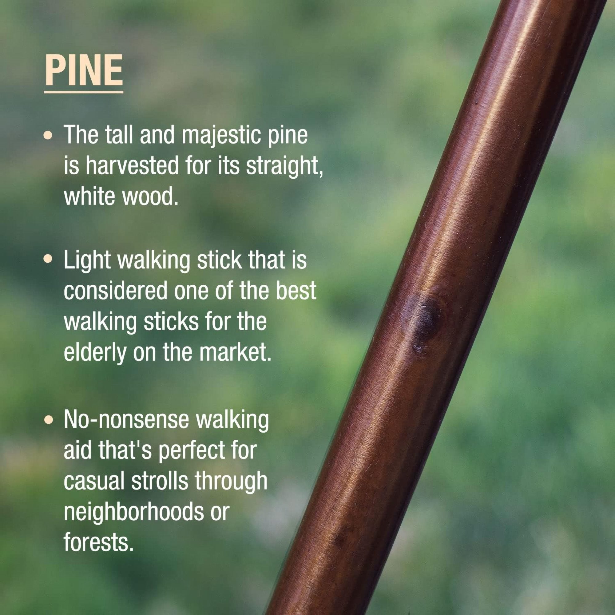 Brazos™ Traditional Straight Pine Handcrafted Walking Stick, 48-Inch, Brown (1 Unit)