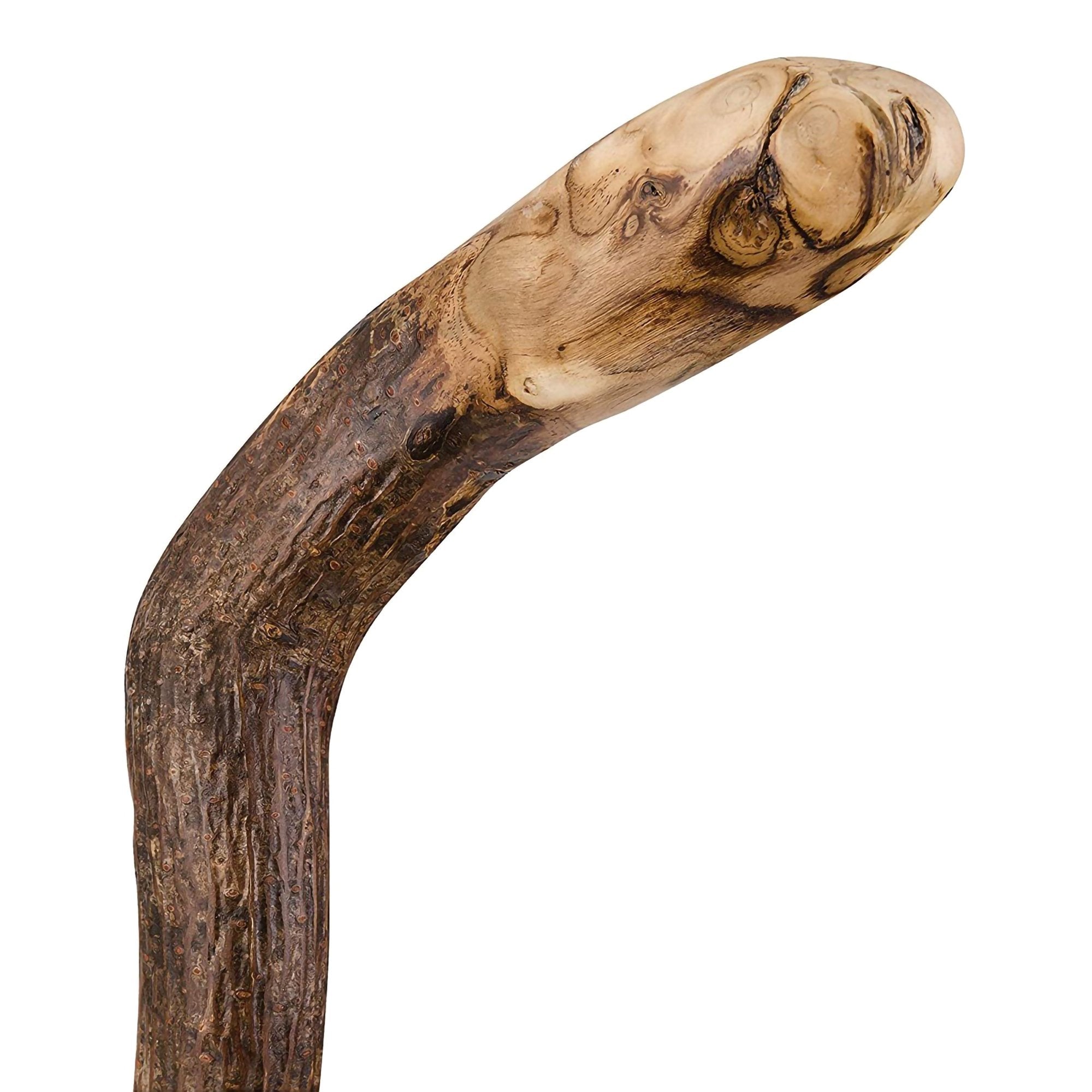 Brazos™ Natural Hardwood Knob Root Free-Form Walking Cane, 37-Inch Height (1 Unit)