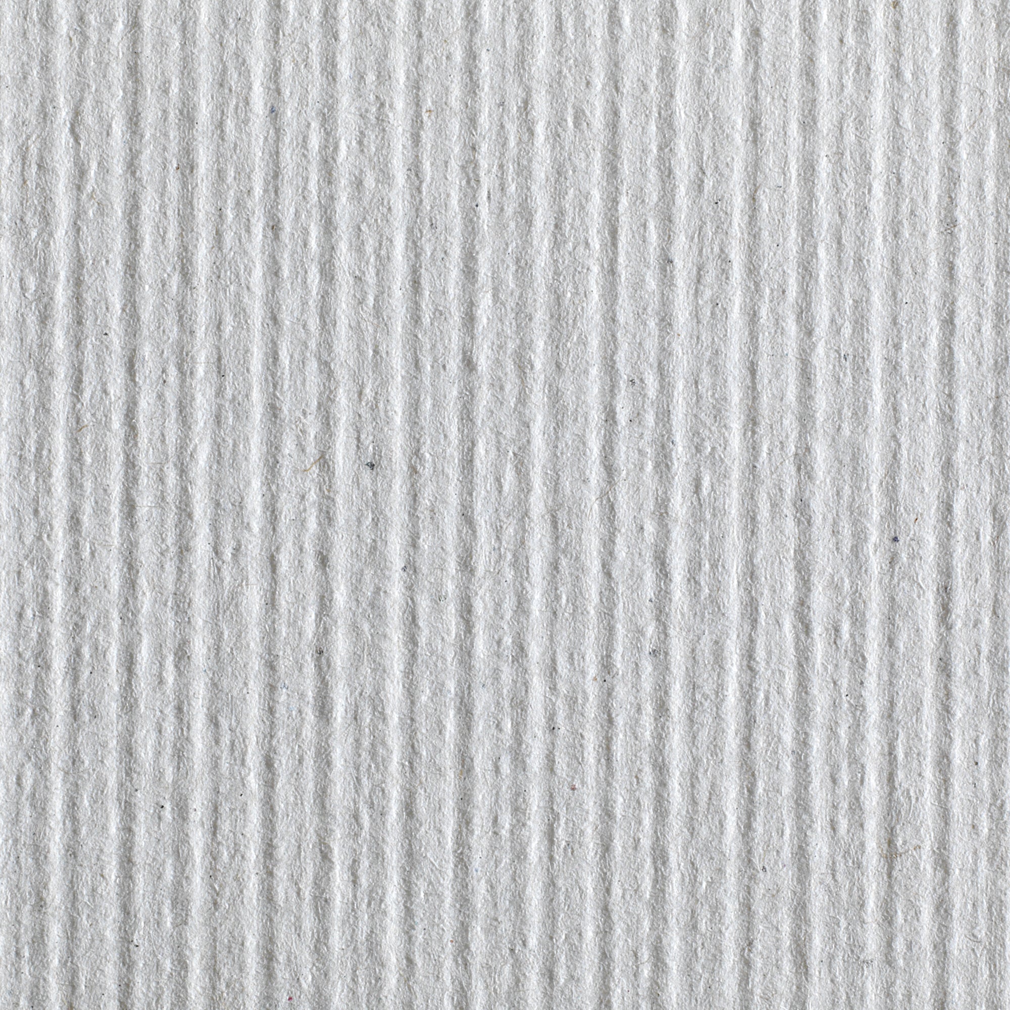 Pacific Blue Basic™ Paper Towel, 6 Rolls per Case (1 Unit)