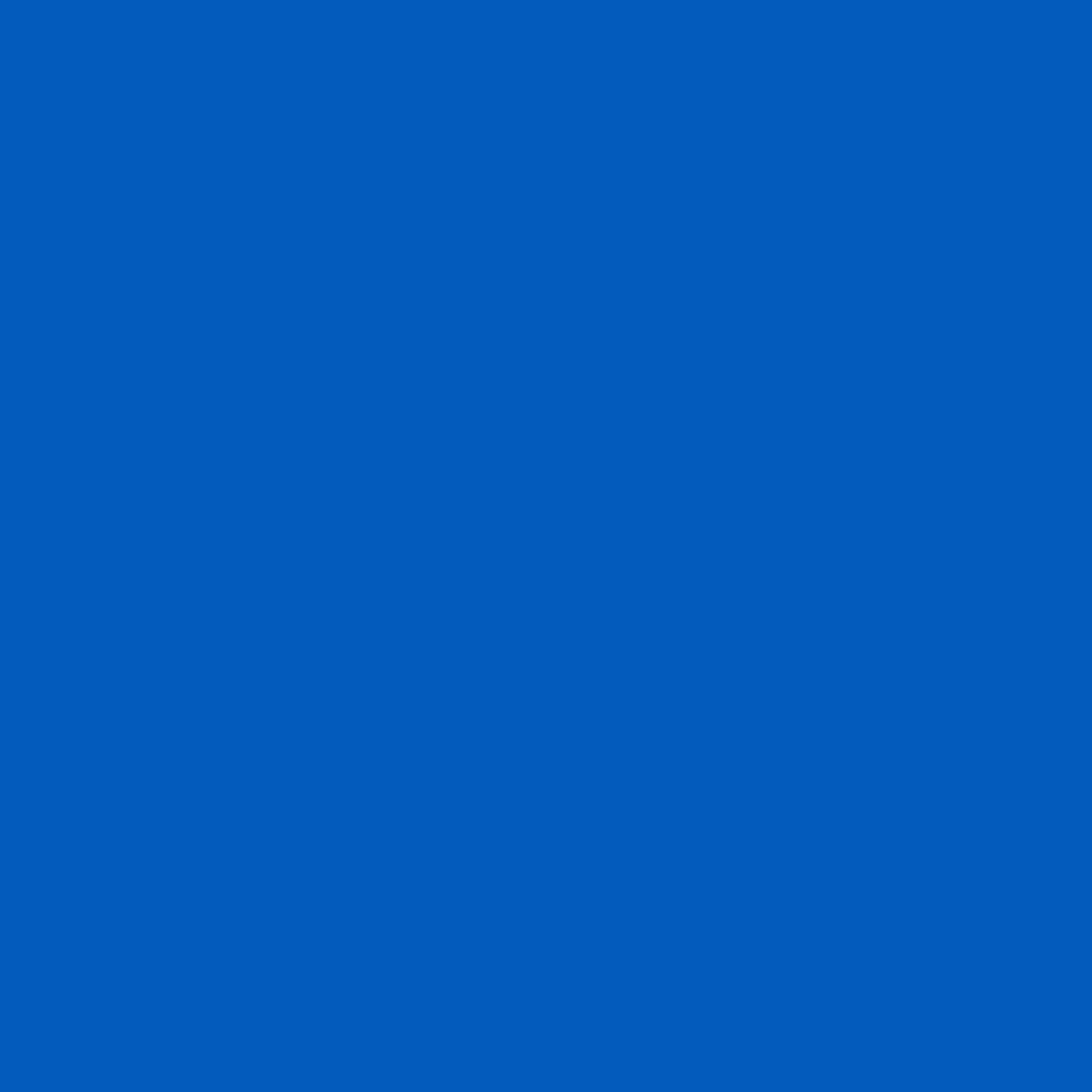 3M™ Coban™ Self-adherent Closure Cohesive Bandage, 3 Inch x 5 Yard, Blue (24 Units)