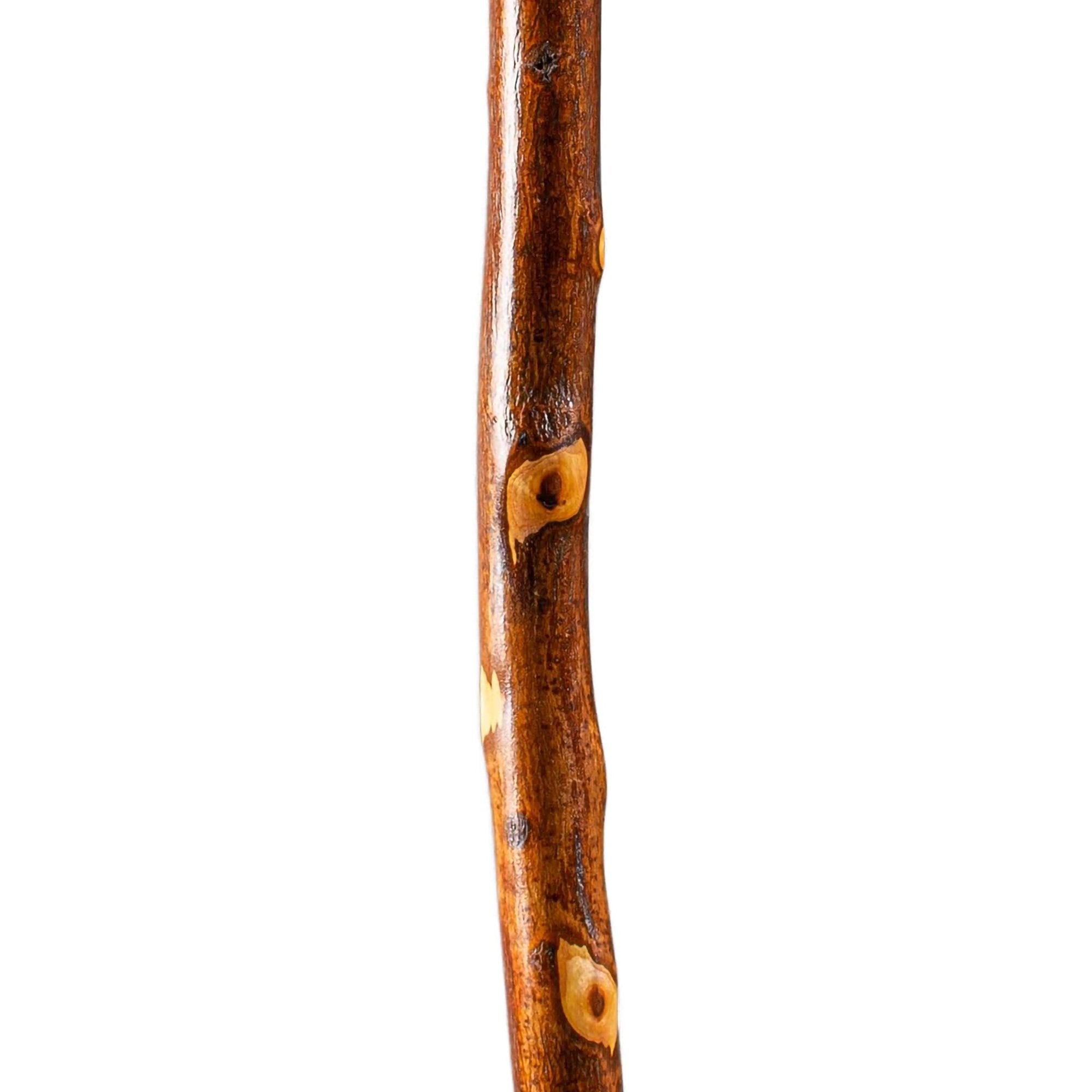 Brazos™ Hawthorn Rustic Walking Stick, 48-Inch Height (1 Unit)