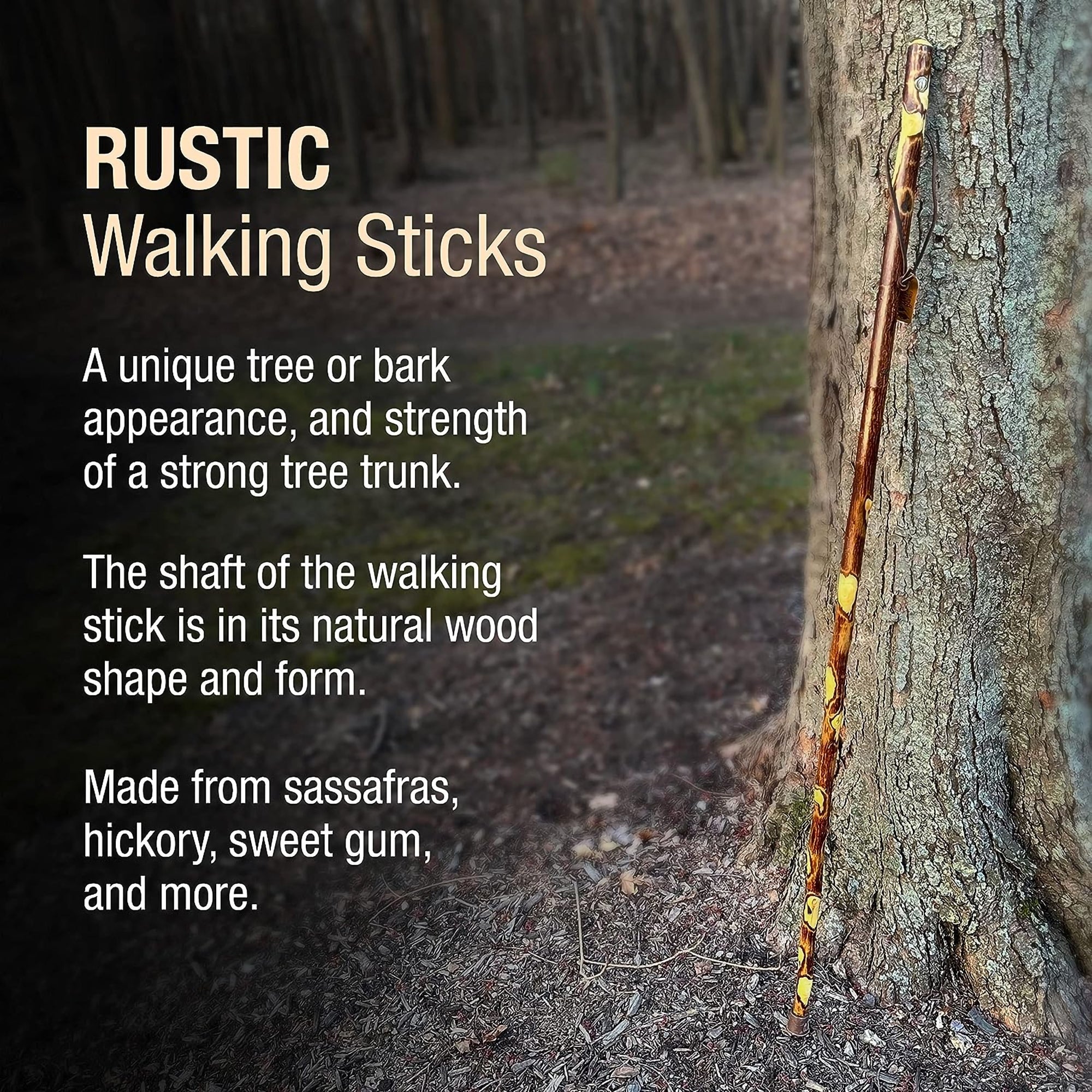 Brazos™ Hawthorn Rustic Walking Stick, 48-Inch Height (1 Unit)