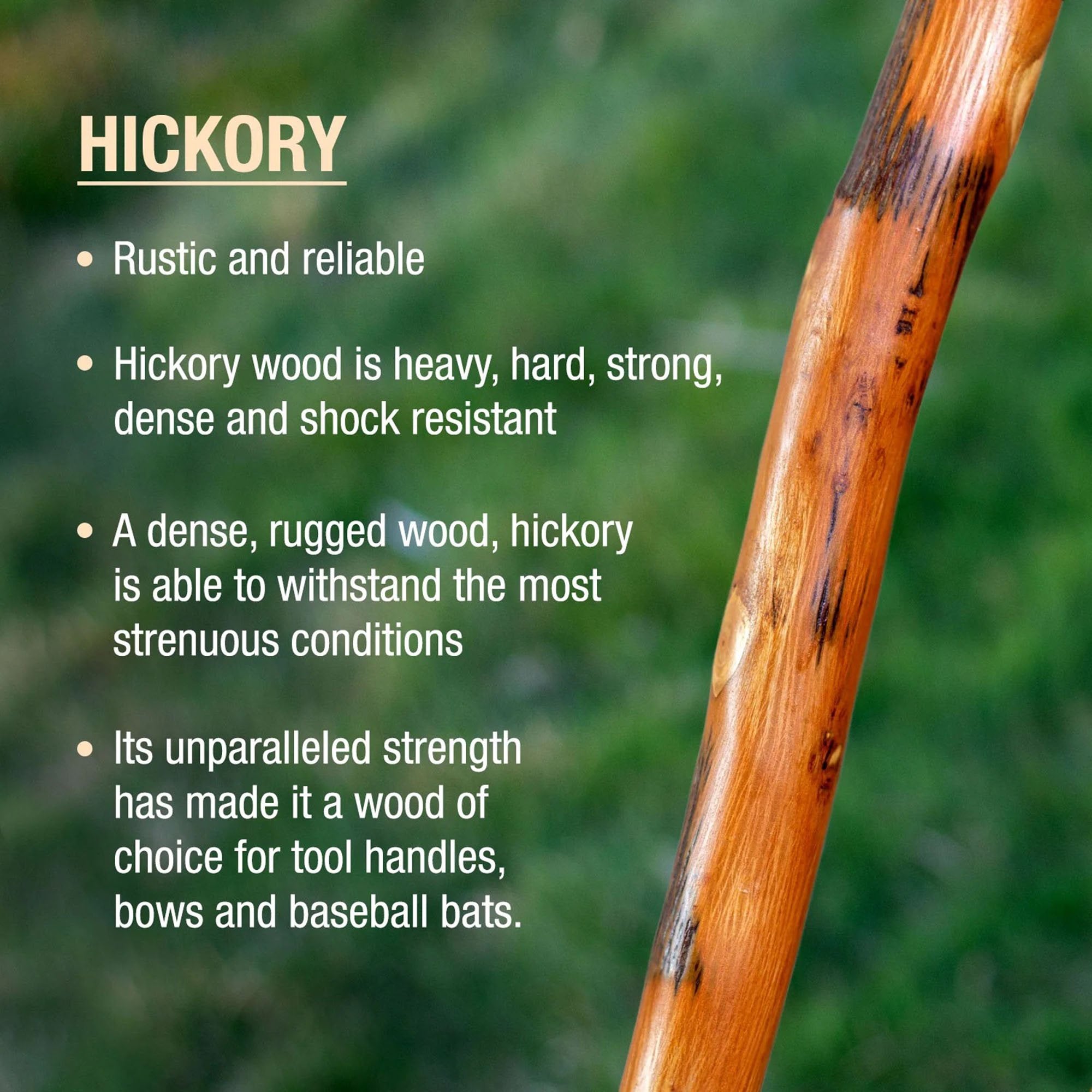 Brazos™ Exotic Leather Safari Hickory Rustic Walking Stick, 55-Inch (1 Unit)